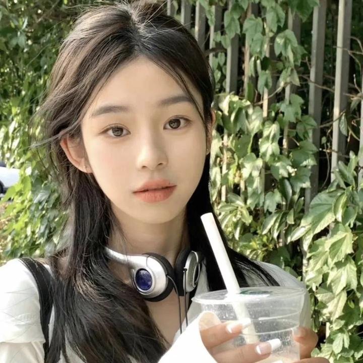 圣诞狗狗救援