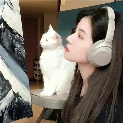 猪皮天堂